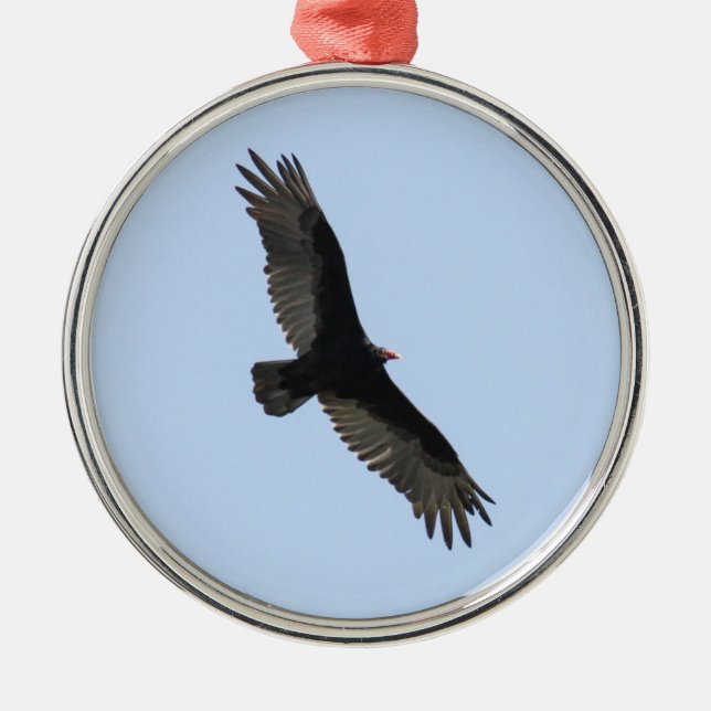 Turkey Vulture Metal Ornament (Front)