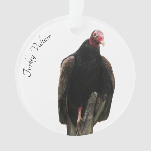Turkey Vulture Ornament