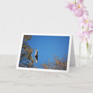Turkey Vulture Over Trees Card