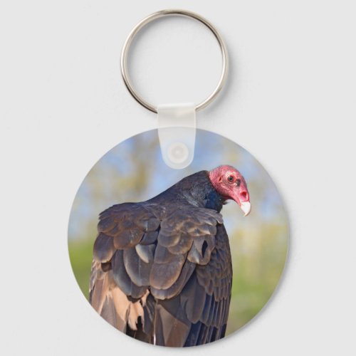 Turkey vulture perched on trunk   keychain