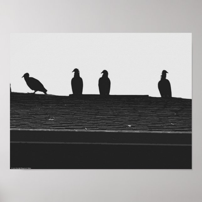 Turkey Vulture, Poster (Front)