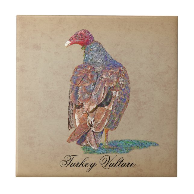 TURKEY VULTURE TILE (Front)
