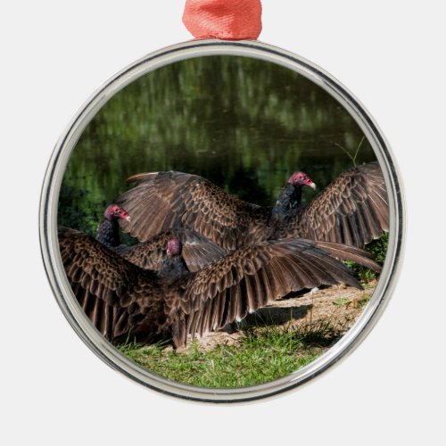 Turkey Vultures With Spread Wings Metal Ornament