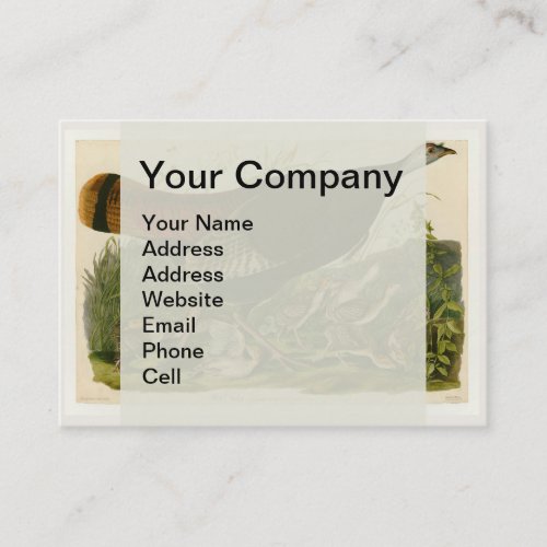 Turkey Wild Audubon Bird Painting Business Card