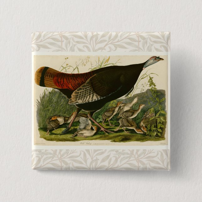 Turkey Wild Audubon Bird Painting Button (Front)