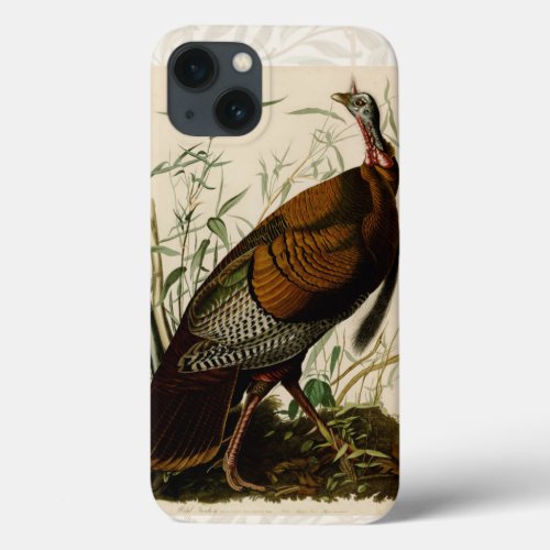 Turkey Wild Audubon Bird Painting iPhone 13 Case