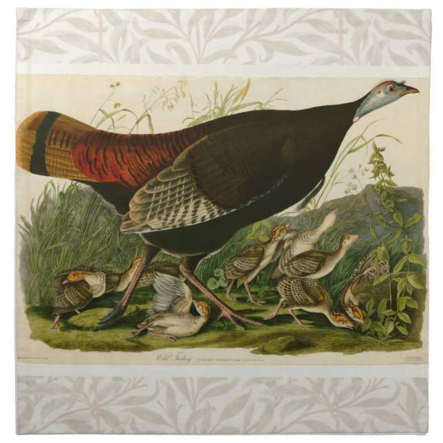Turkey Wild Audubon Bird Painting Cloth Napkin (Front)