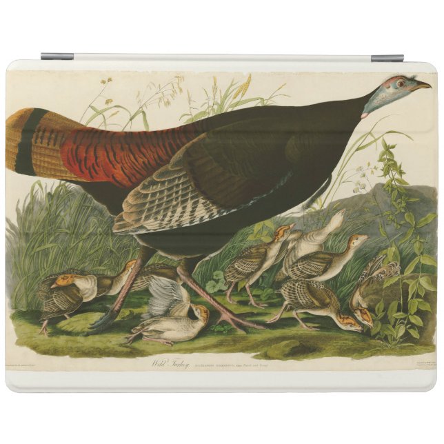 Turkey Wild Audubon Bird Painting iPad Smart Cover (Horizontal)