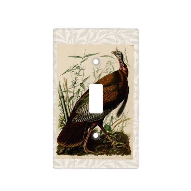 Turkey Wild Audubon Bird Painting Light Switch Cover (Front)