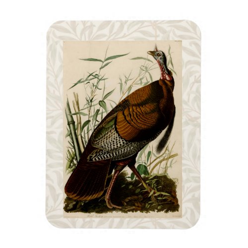 Turkey Wild Audubon Bird Painting Magnet