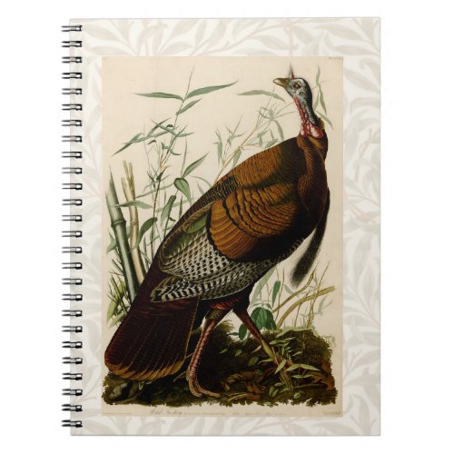 Turkey Wild Audubon Bird Painting Notebook