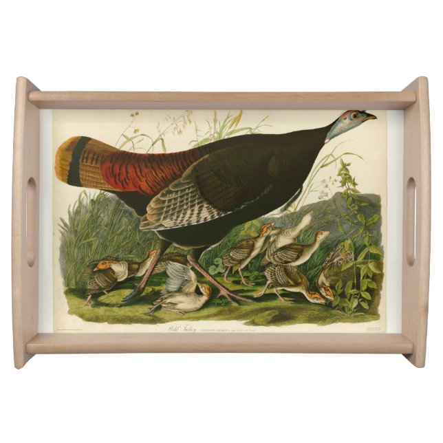 Turkey Wild Audubon Bird Painting Serving Tray (Front)