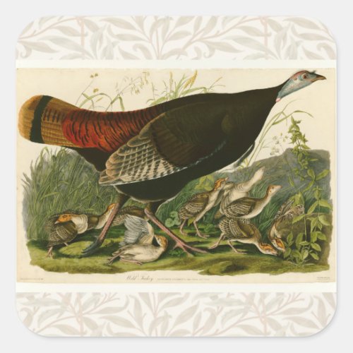 Turkey Wild Audubon Bird Painting Square Sticker