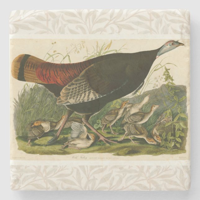 Turkey Wild Audubon Bird Painting Stone Coaster (Front)