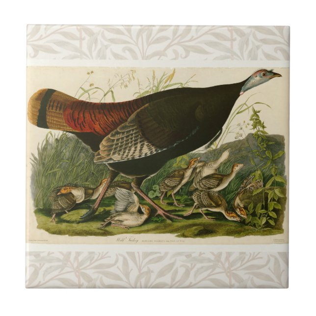 Turkey Wild Audubon Bird Painting Tile (Front)