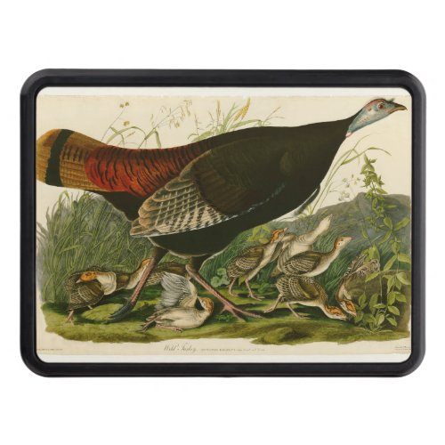 Turkey Wild Audubon Bird Painting Tow Hitch Cover