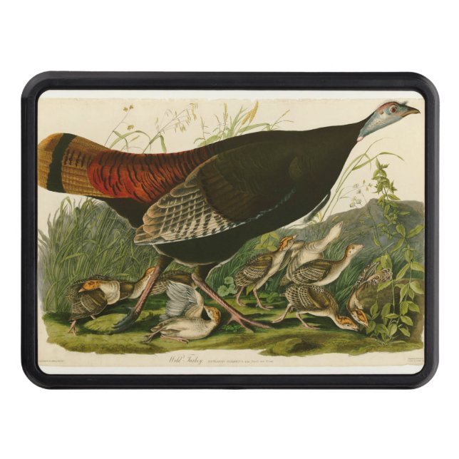 Turkey Wild Audubon Bird Painting Tow Hitch Cover (Front)
