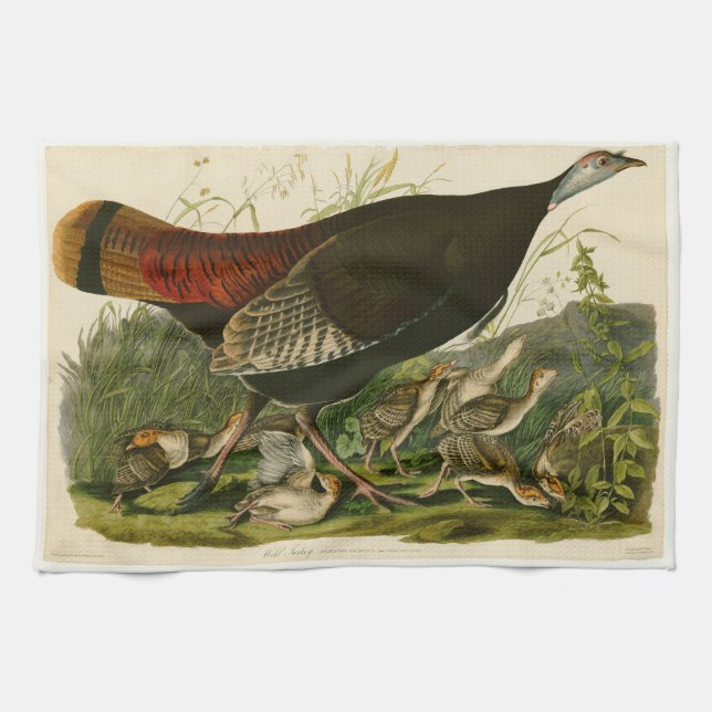 Turkey Wild Audubon Bird Painting Towel (Horizontal)