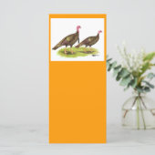 Turkey:  Wild Bronze (Standing Front)