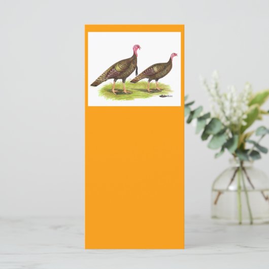 Turkey:  Wild Bronze (Standing Front)