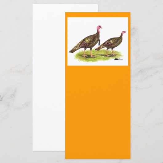 Turkey:  Wild Bronze (Front/Back)