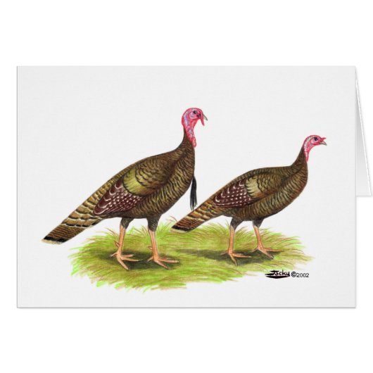 Turkey: Wild Bronze Cards (Front Horizontal)