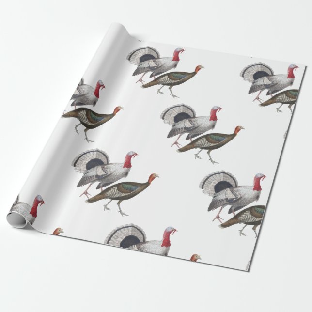 Turkey Wrapping Paper (Unrolled)