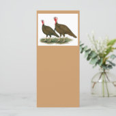 Turkeys:  Chocolate (Standing Front)