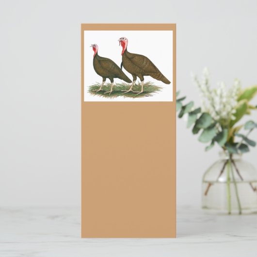 Turkeys: Chocolate (Standing Front)