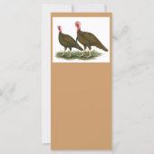 Turkeys: Chocolate (Front)