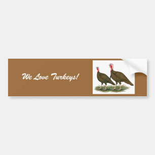 Turkeys: Chocolate Bumper Sticker