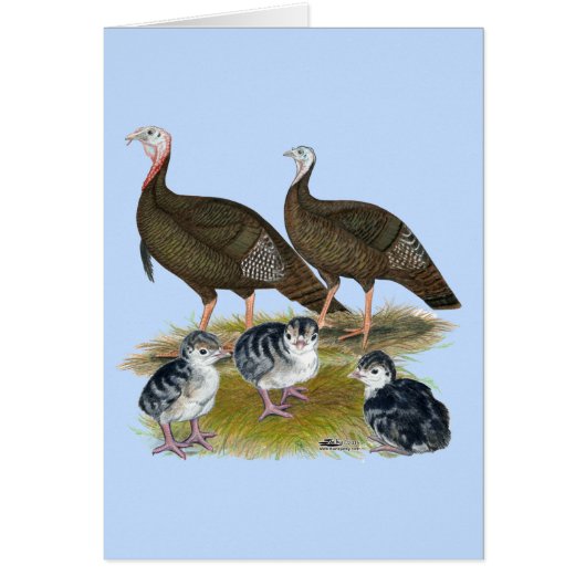 Turkeys Eastern Wild Family (Front)
