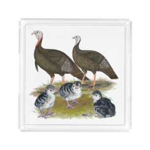 Turkeys Eastern Wild Family Acrylic Tray
