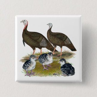 Turkeys Eastern Wild Family Button