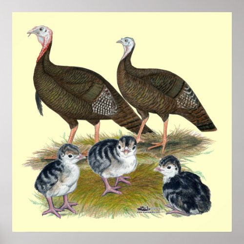 Turkeys Eastern Wild Family Poster