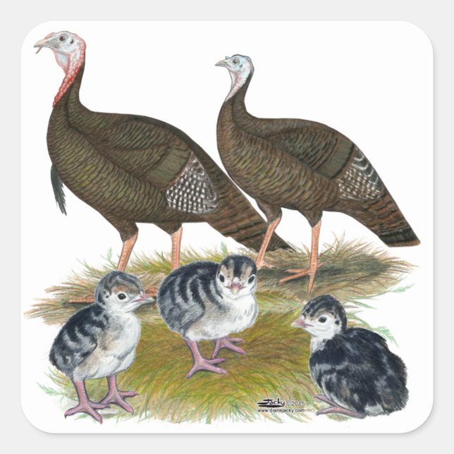 Turkeys Eastern Wild Family Square Sticker (Front)