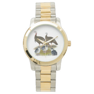 Turkeys Eastern Wild Family Watch