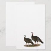 Turkeys Eastern Wild Pair (Front/Back)