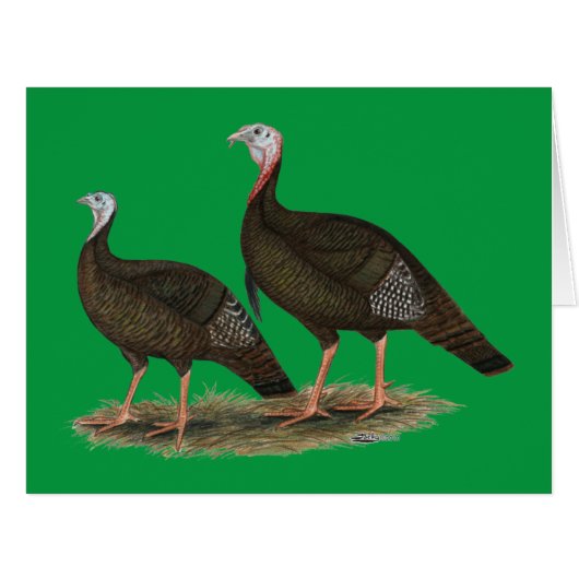 Turkeys Eastern Wild Pair Cards (Front Horizontal)