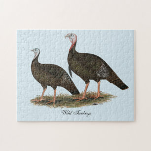 Turkeys Eastern Wild Pair Jigsaw Puzzle