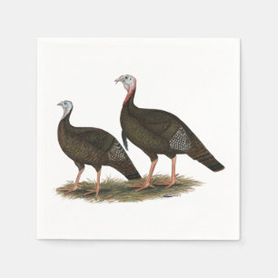 Turkeys Eastern Wild Pair Napkins