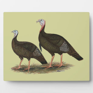 Turkeys Eastern Wild Pair Plaque
