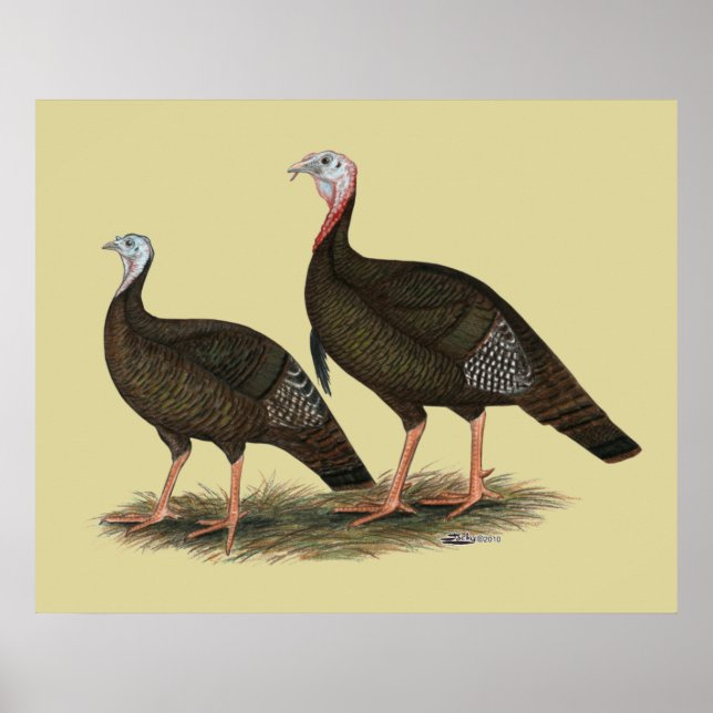 Turkeys Eastern Wild Pair Poster (Front)
