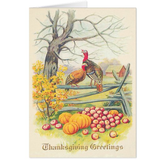 Turkeys Farm Pumpkin Apples Tree Fall Leaves Cards (Front)