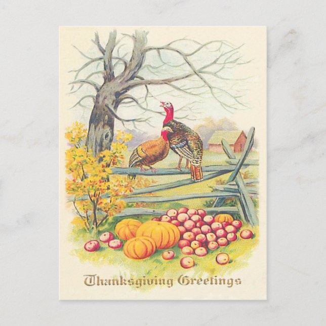 Turkeys Farm Pumpkin Apples Tree Fall Leaves Postcard (Front)