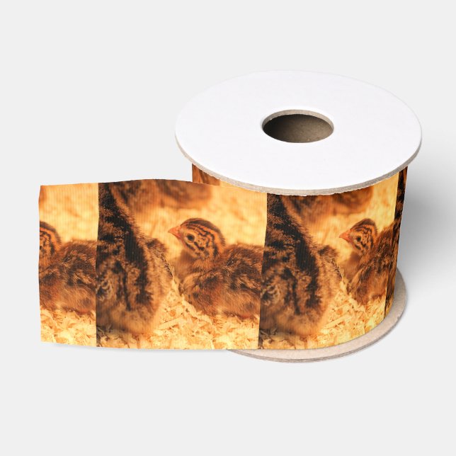 Turkeys Grosgrain Ribbon (Spool)