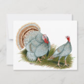 Turkeys:  Lilac (Front)