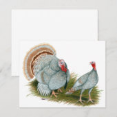 Turkeys:  Lilac (Front/Back)