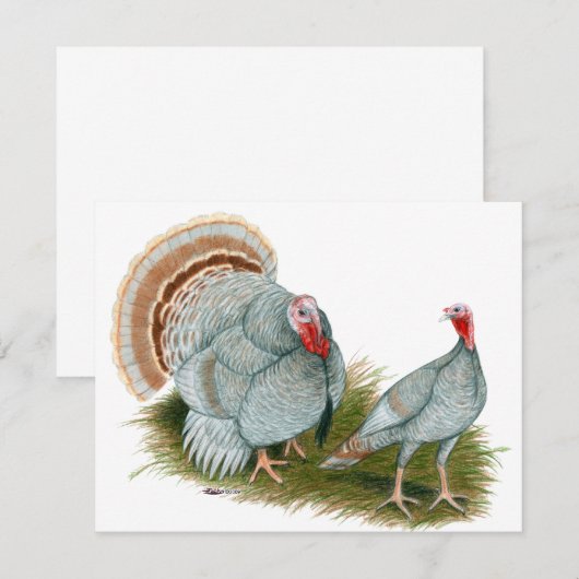 Turkeys:  Lilac (Front/Back)