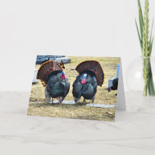 "Turkeys of a Feather" Thanksgiving Card